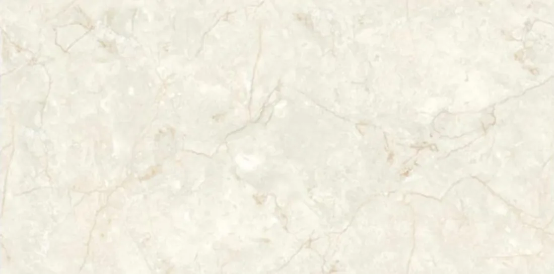 Orbita ivory
